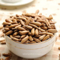 Top Quality Organic Dry Fruit Pine Nuts Kernel For Sale